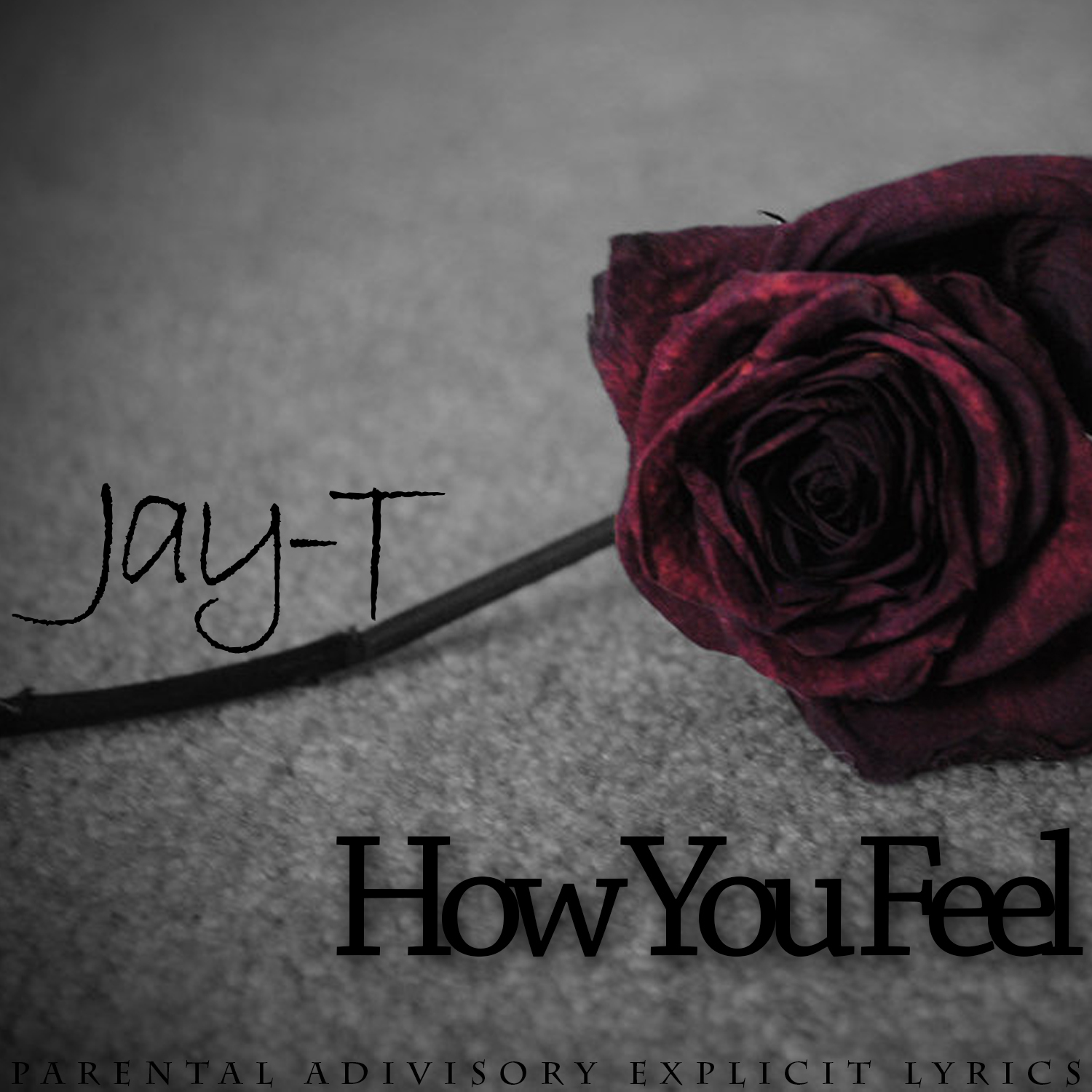 Jay-T - How You Feel [Thizzler.com]