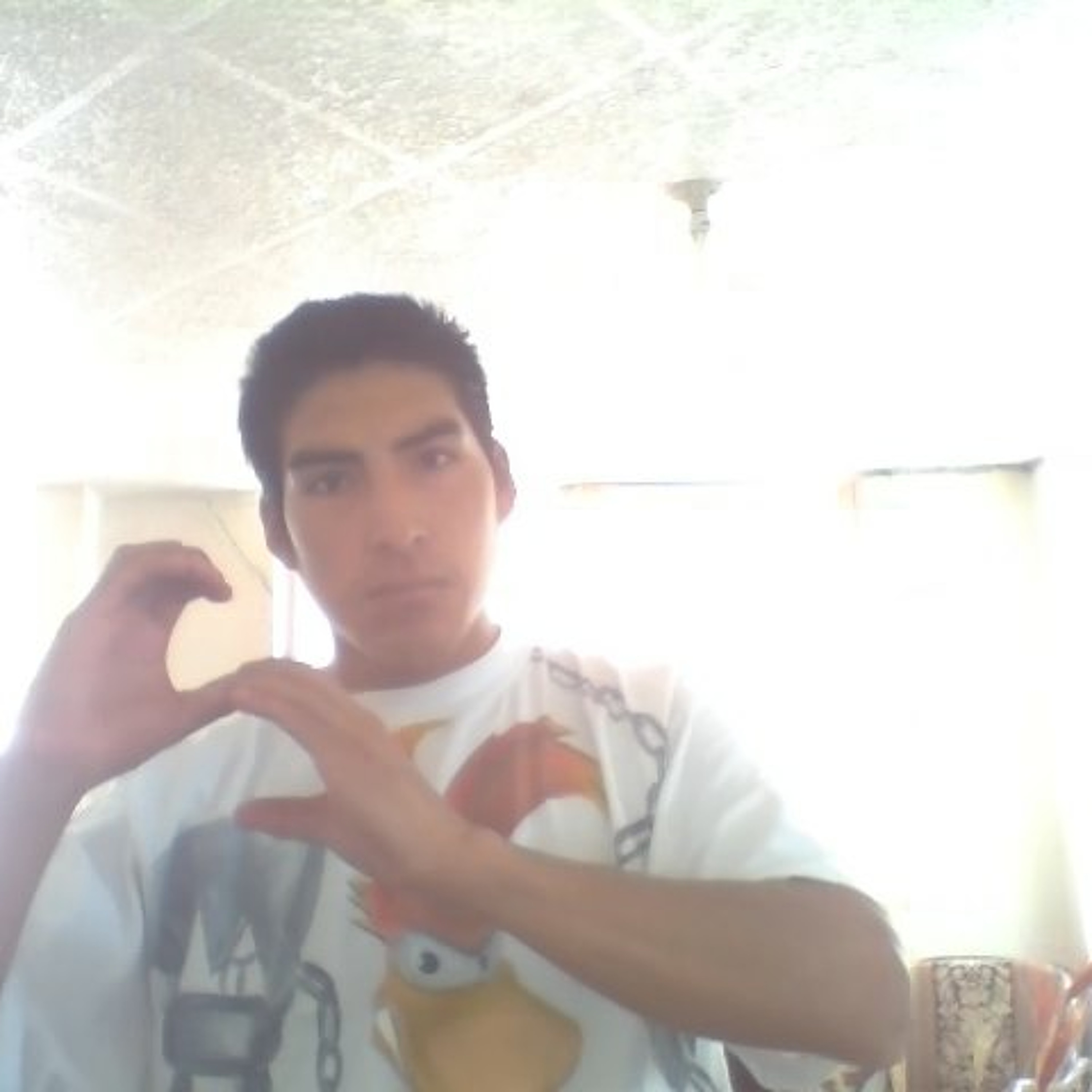 MENTALSTYLE ¨BronzeLion¨