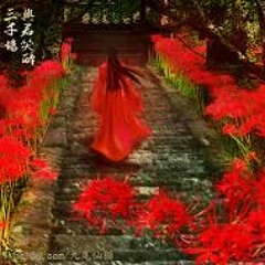 Bỉ Ngạn - Winky Thi