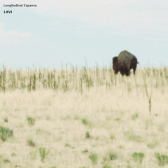 'Live Expanse 4' excerpt