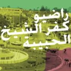 كفر الشيخ الحبيبة سيكولوجية الإنقلاب
