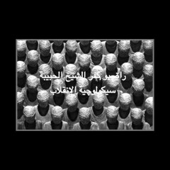 راضيو كفر الشيخ الحبيبة - سيكولوجية الإنقلاب