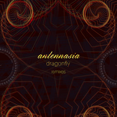 Antennasia - Ms Zirkus (Brahj Remix)