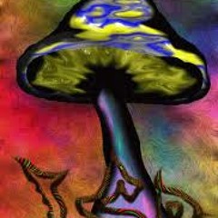 Neelix