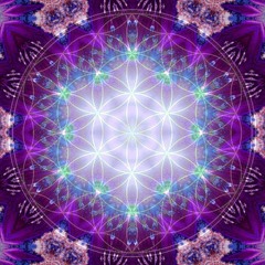 Purple Dream - Love