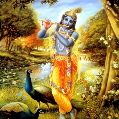Radhe Krishna 2 jai sri krishna
