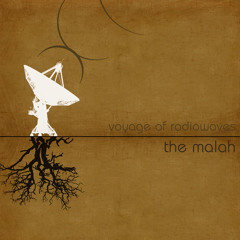 Voyage of Radiowaves LP