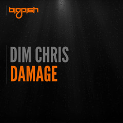 Dim Chris - Damage (Preview) [BIGFISH]