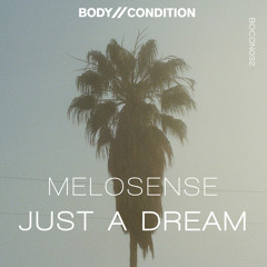 Melosense - Just a Dream