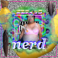 Poetic Nerd HIPHOP Mix