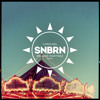 Melanie Martinez - Carousel (SNBRN Remix)