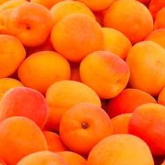 D.A.M.B. - Apricots (Master) - FREE DL