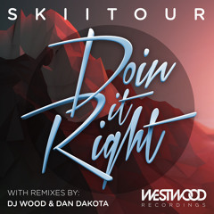 SkiiTour - Doin It Right (DJ Wood Remix)