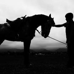 Morteza Pashaeı / Caddeye yek terefe