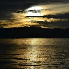 Bukan Sembarang Pekerja