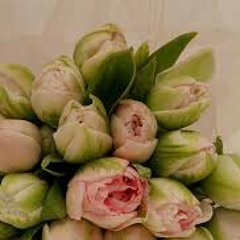 (113_الْفَلَقِ)﷽قُلْ أَعُوذُ بِرَبِّ الْفَلَقِ(1)مِنْ شَرِّ مَا خَلَقَ(2)
