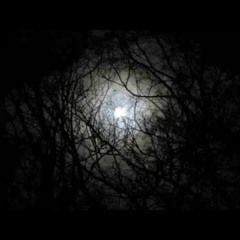 Garden of Sadness - My Empty Life