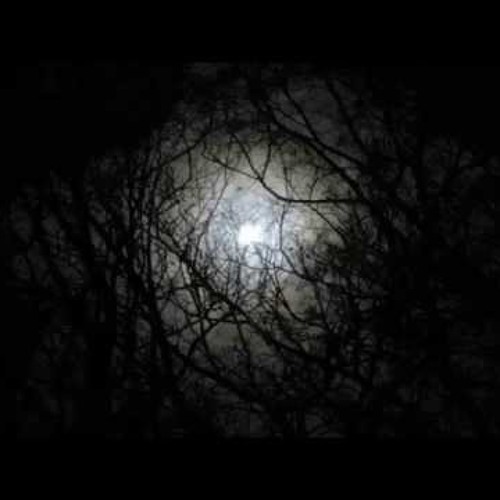 Garden of Sadness - My Empty Life
