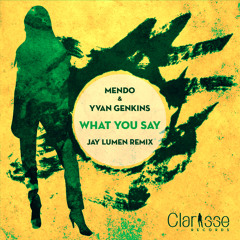 Mendo & Yvan Genkins - What You Say (Jay Lumen What U Hear Remix) Low Quality Preview