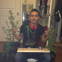 Young Slick- In My Zone