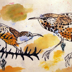 I Don't Know And Actually Nobody Does