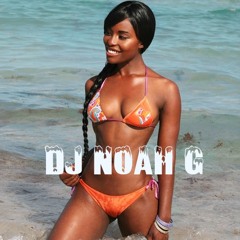 Dj Noah G - Melt Down 2014 - The Mixtape