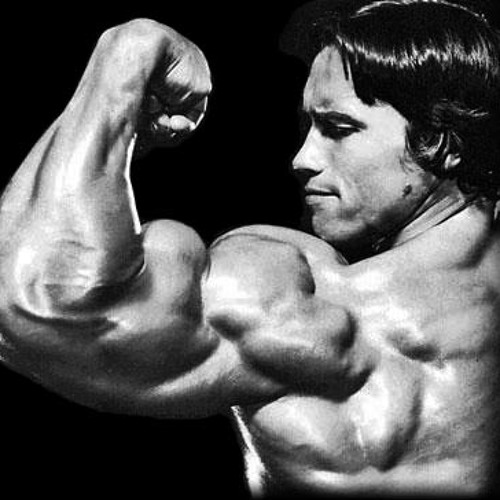 TRVP ARMS