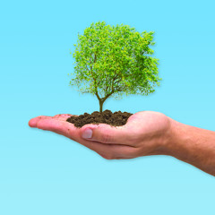 50 Shades of Grateful - Praise BE! Thank it UP.