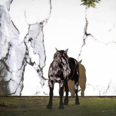 MC NASDAQ - LOVE SONG