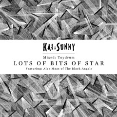 LOTS OF BITS OF STAR - TOYDRUM - KAIANDSUNNY