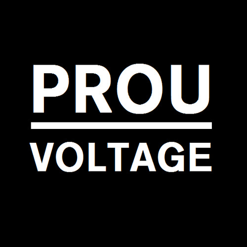 FLUX |ProU Voltage Records|