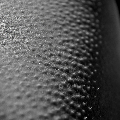 ASMR (Continously Updated)