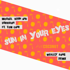 Michael Brun & DubVision Ft. Tom Cane - Sun In Your Eyes (Wesley Song Remix)[FREE DOWNLOAD]