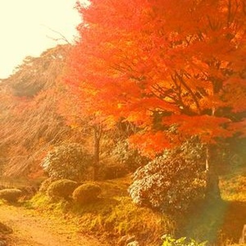 Stream Red Breeze by Negative Headphone | Listen online for free on