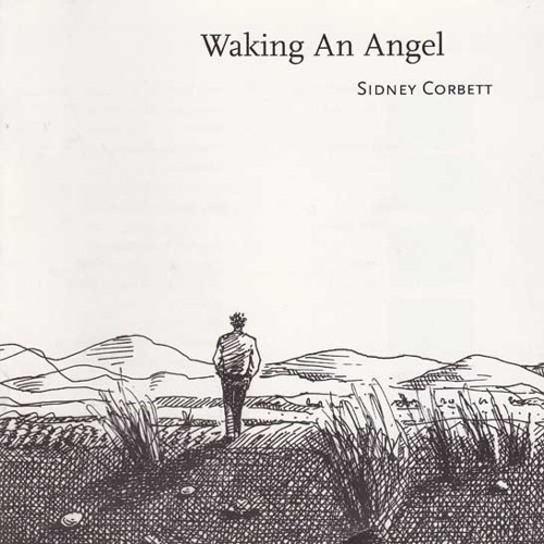 Walking an Angel