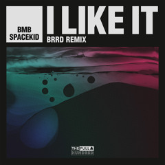 I Like It (brrd Remix)