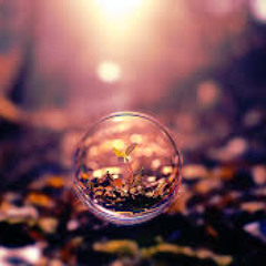 Zavial (From the album " Temples" out on SunSeaSky Prod. March 17 2015 )