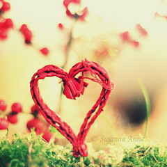 Everybody by Ingrid Michaelson cover with Sasa And Robert