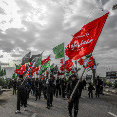 سيد هاني الوداعي | كلها أيام ونسافر كربلاء