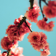 alexandrabautista - when all people sleep  (prod. by lo-fi mastah x yellah beats)