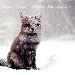 Hagen Dazs - Winter Wonderland