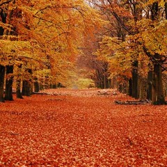 ♪♫ Herbstbeat by Jochen Bleifrei ♪♫
