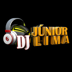 Clvin Harris - Blame Feat John Newman - (DJ JUNIOR LIMA - REMIX)
