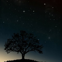 Ten 2 Five - Hanya Untukmu (Cover)