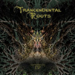 02.Distorted Goblin - Fairy well
