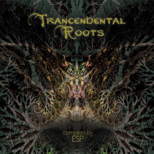 02.Distorted Goblin - Fairy well