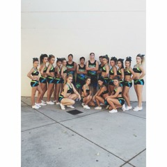 INTENSITY C4 2014 - 2015