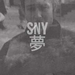 Sny 夢