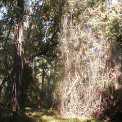 Peanuts [interlude] [Orig.]