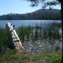 Union Band Experiment [cover]